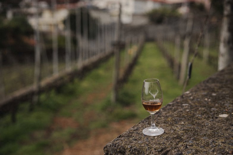20260318_ carlospinto The Dalmore 624.jpg