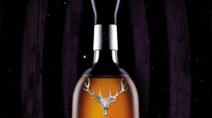 Constellation Neck Shot
