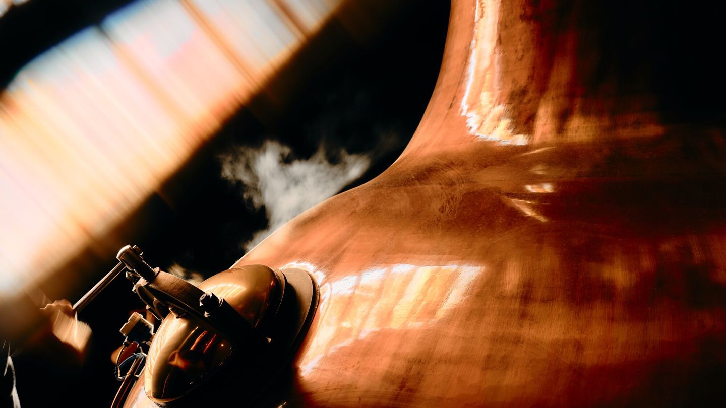 Large 02 02 26 DALMORE TEASER 2091